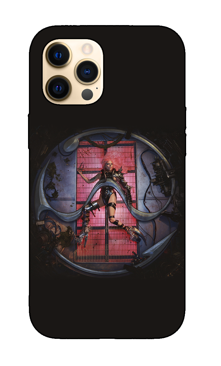 Lady Gaga case 1