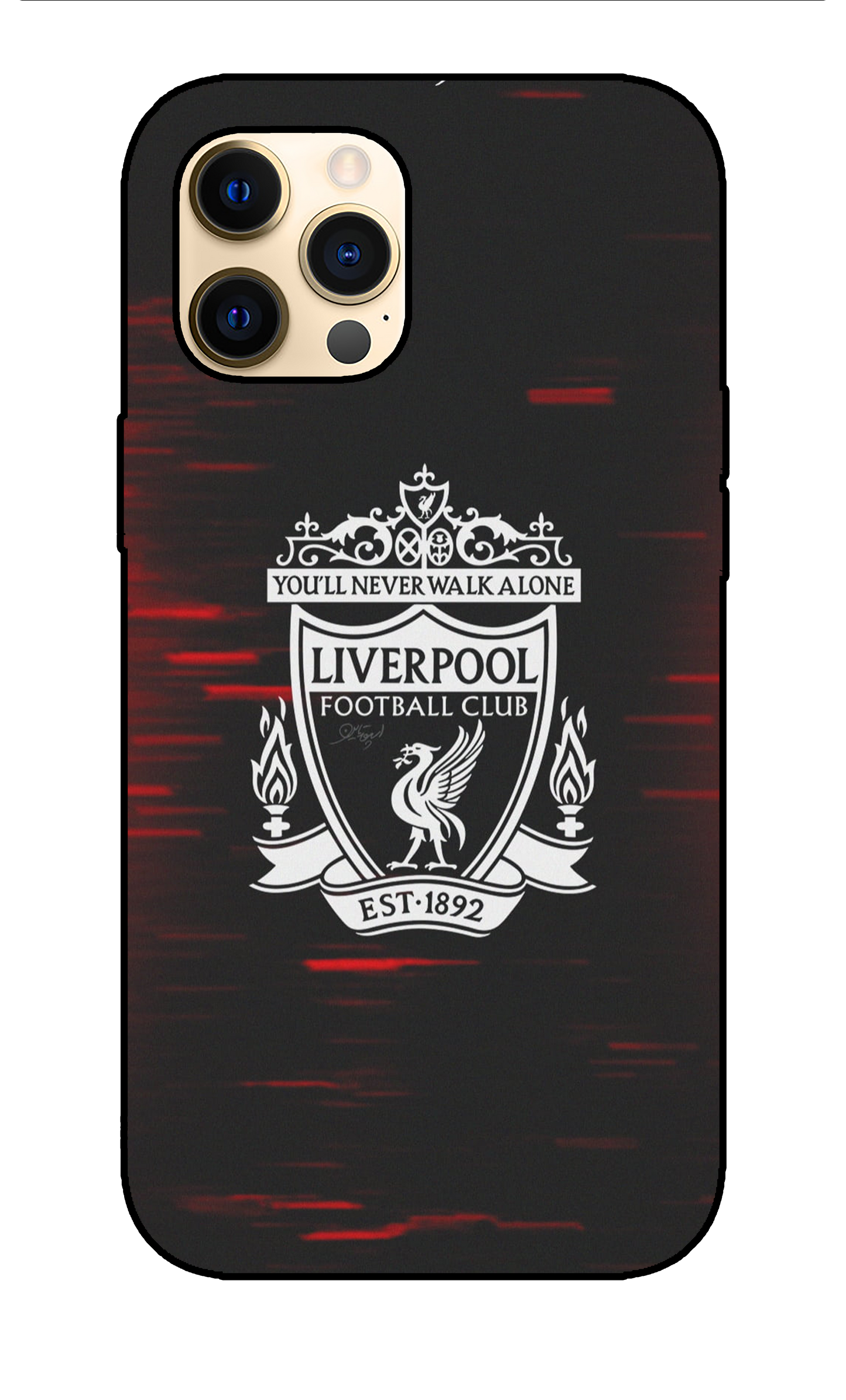 Liverpool Case 3