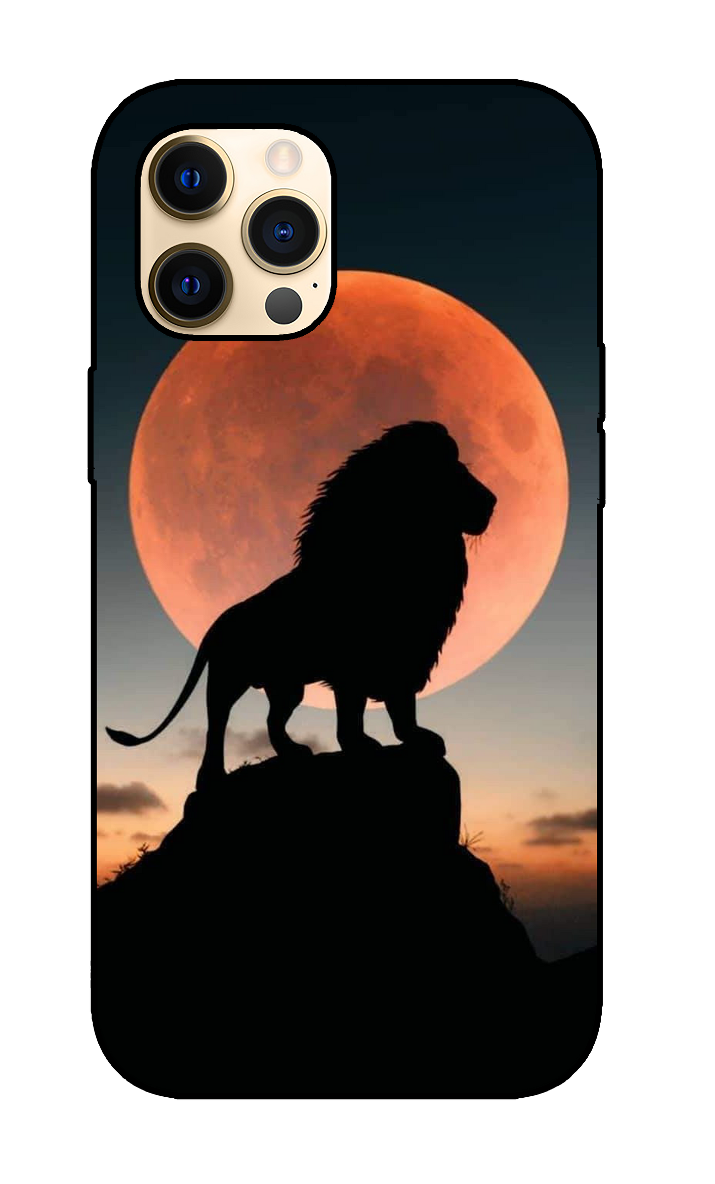 Lion Case 5