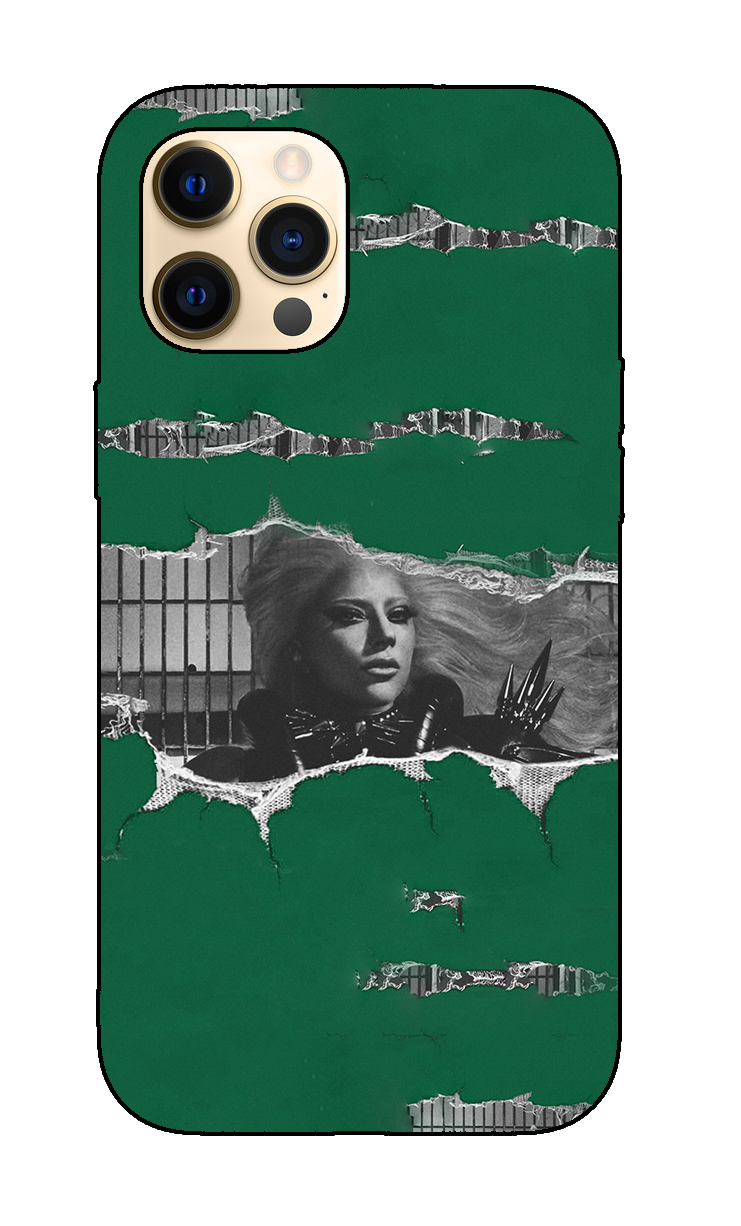Lady Gaga case 6