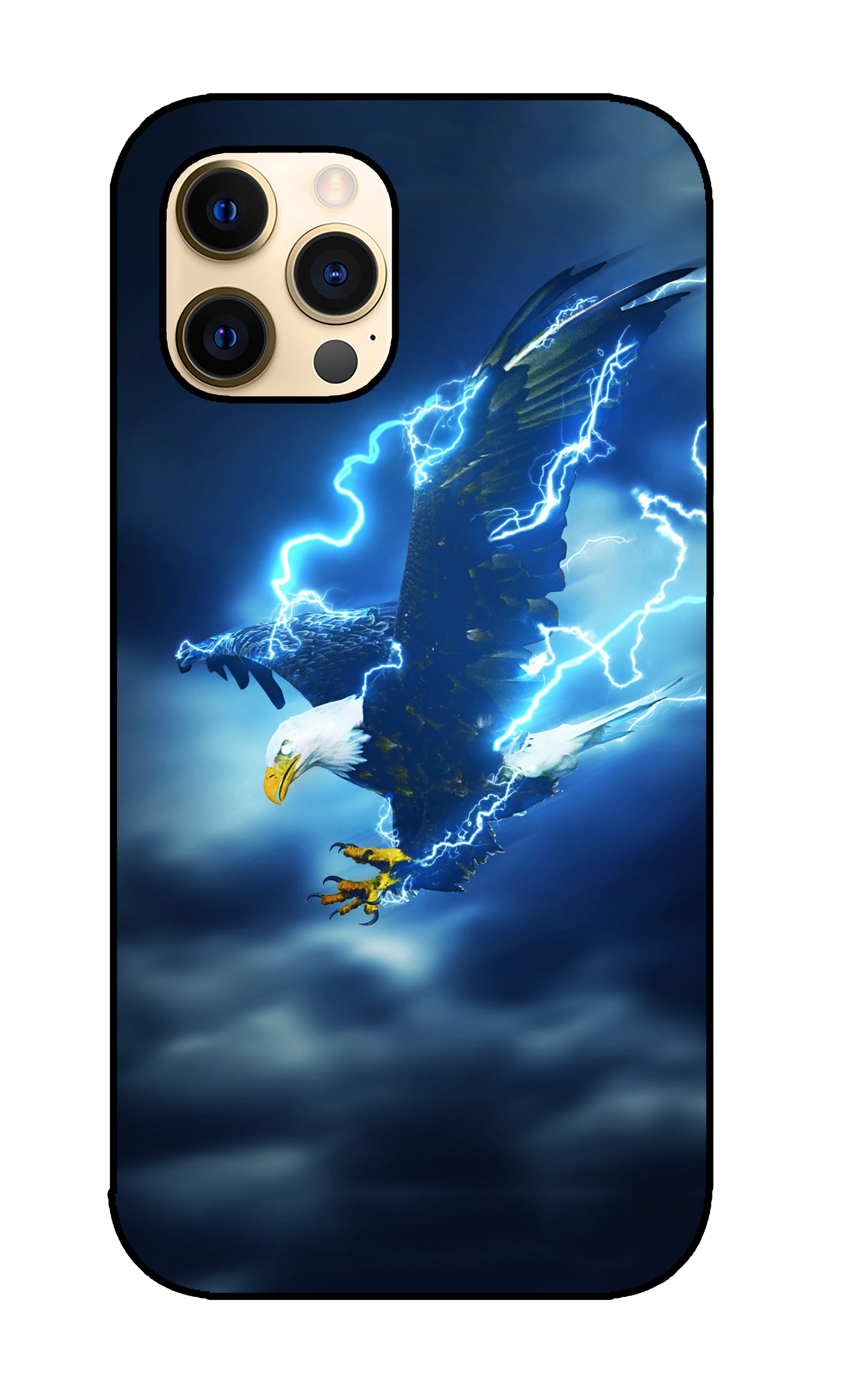 Eagle Case 9