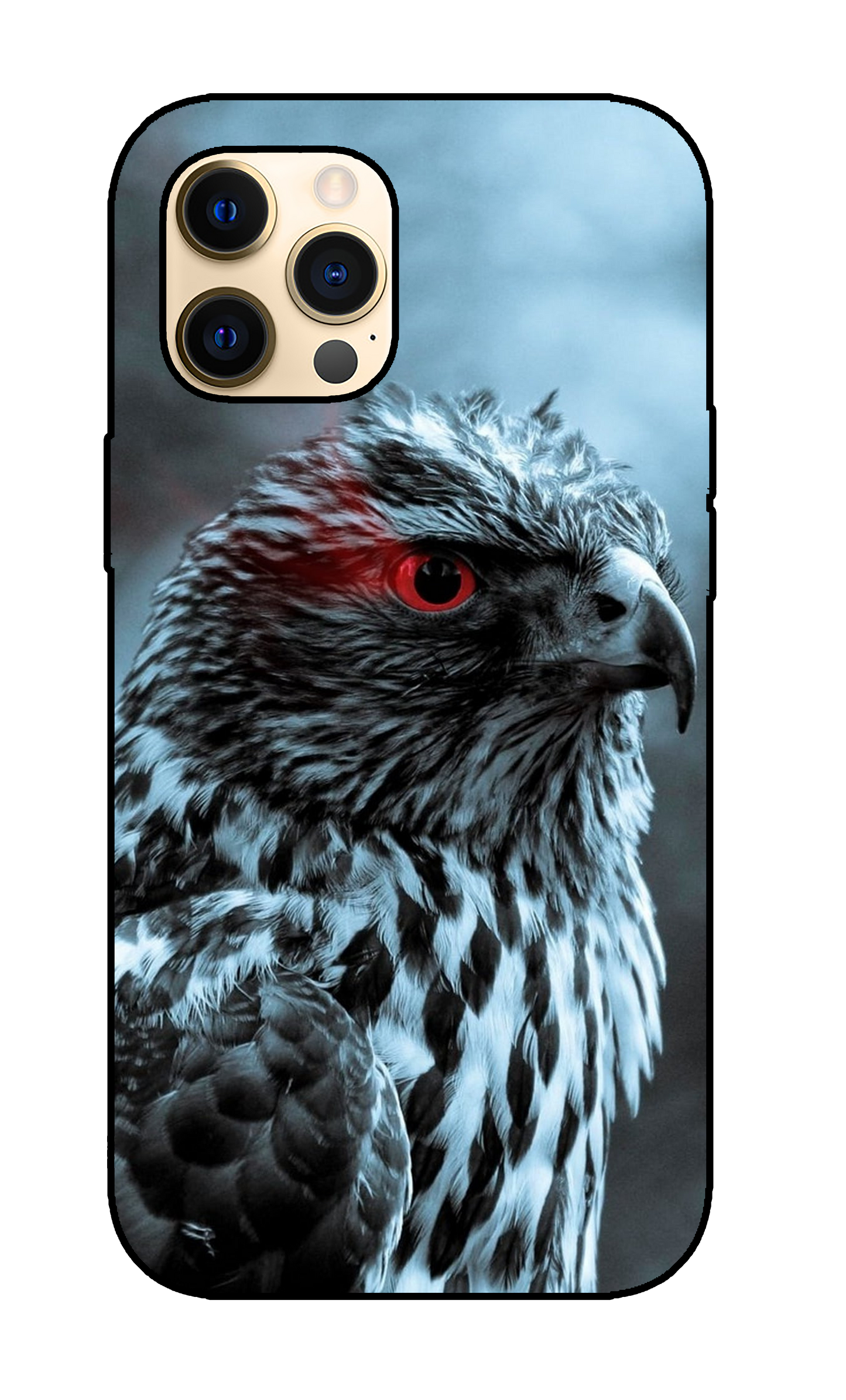 Eagle Case 10