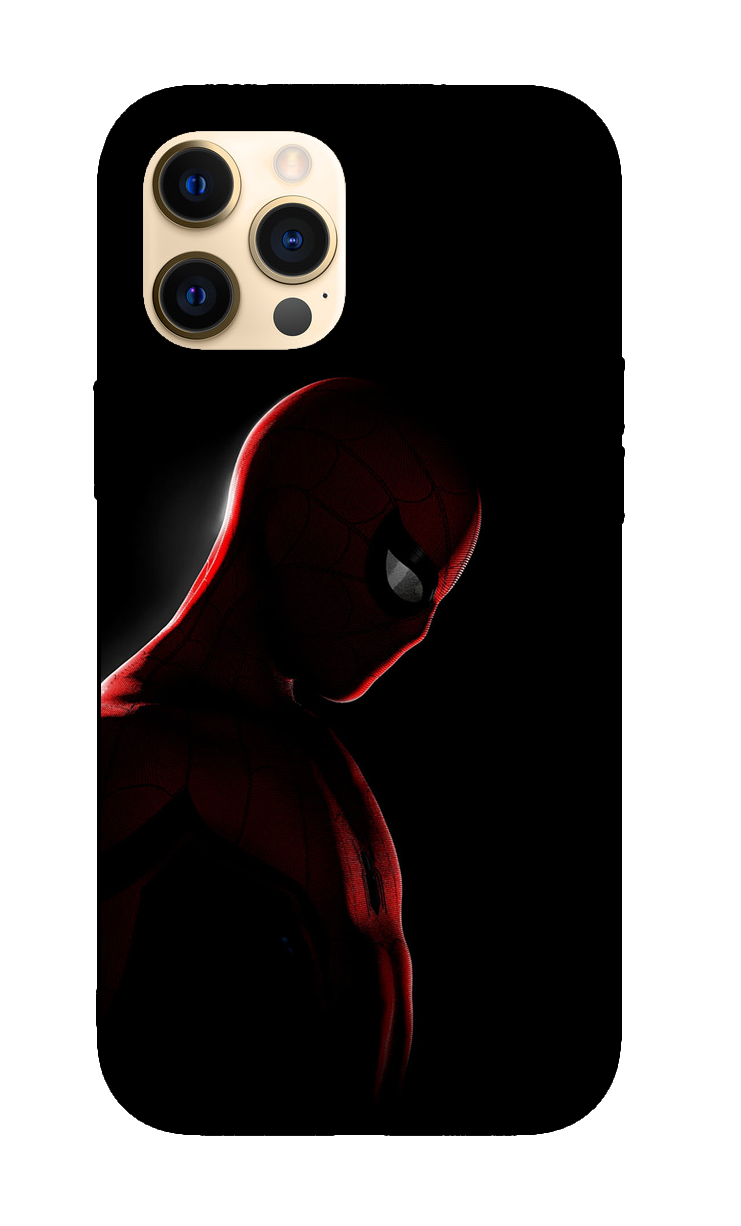 Spiderman Case 13