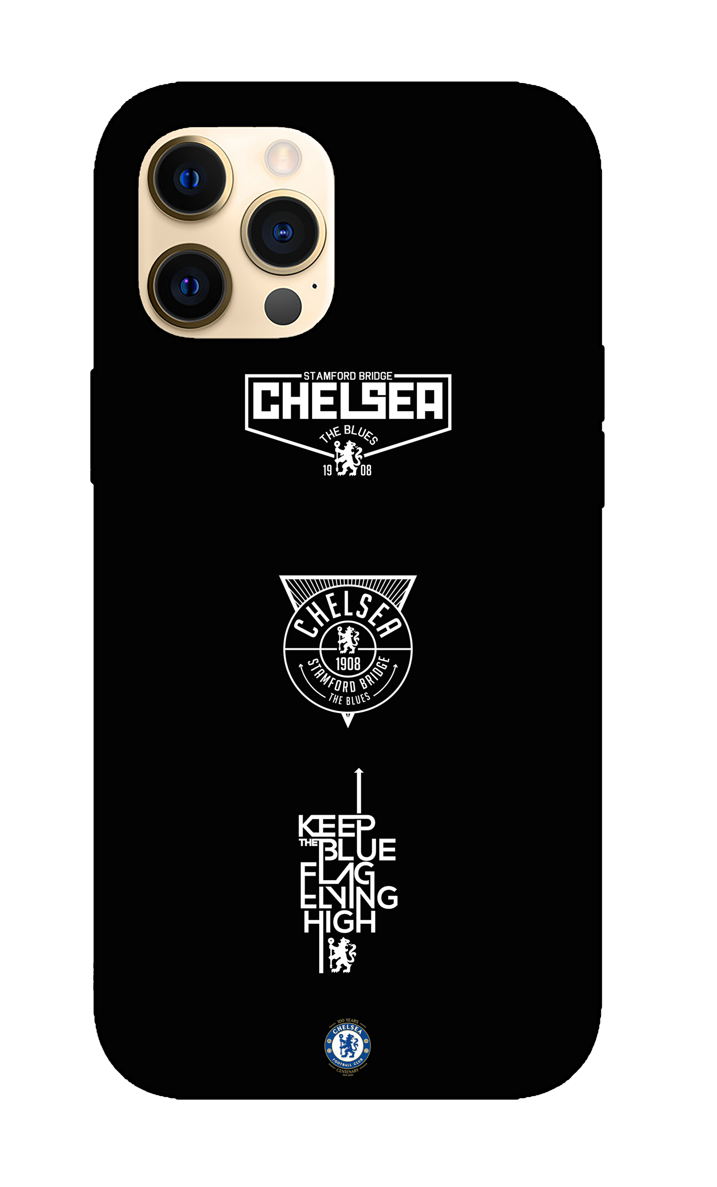Chelsea Case 2