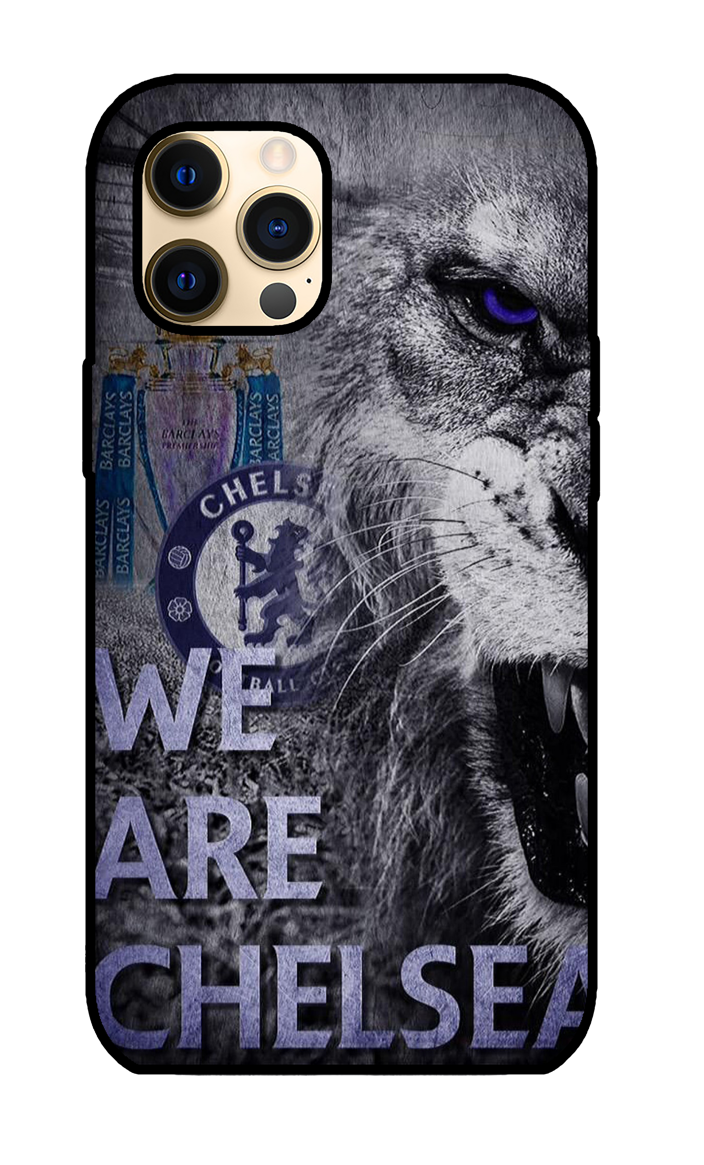 Chelsea Case 12