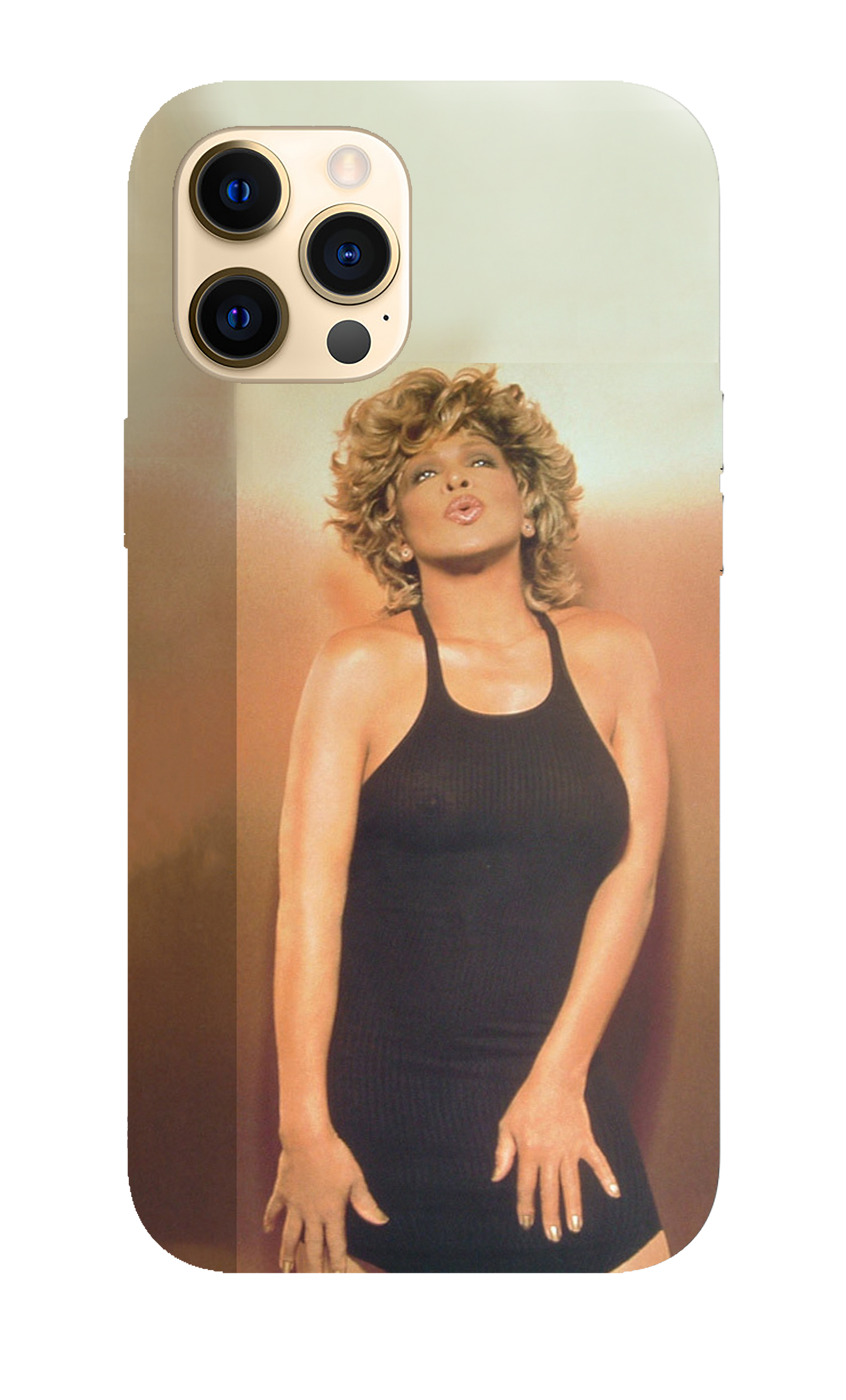 Tina Turner Case 3