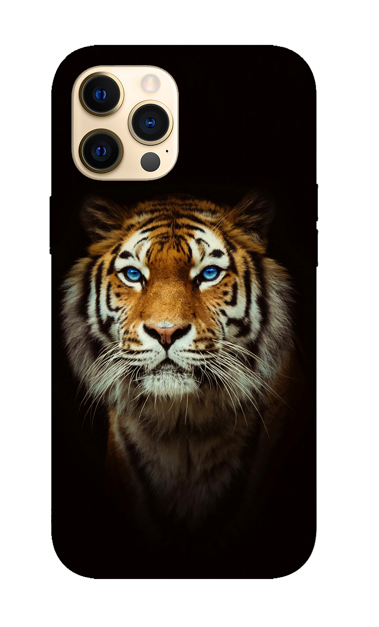 Tiger Case 10