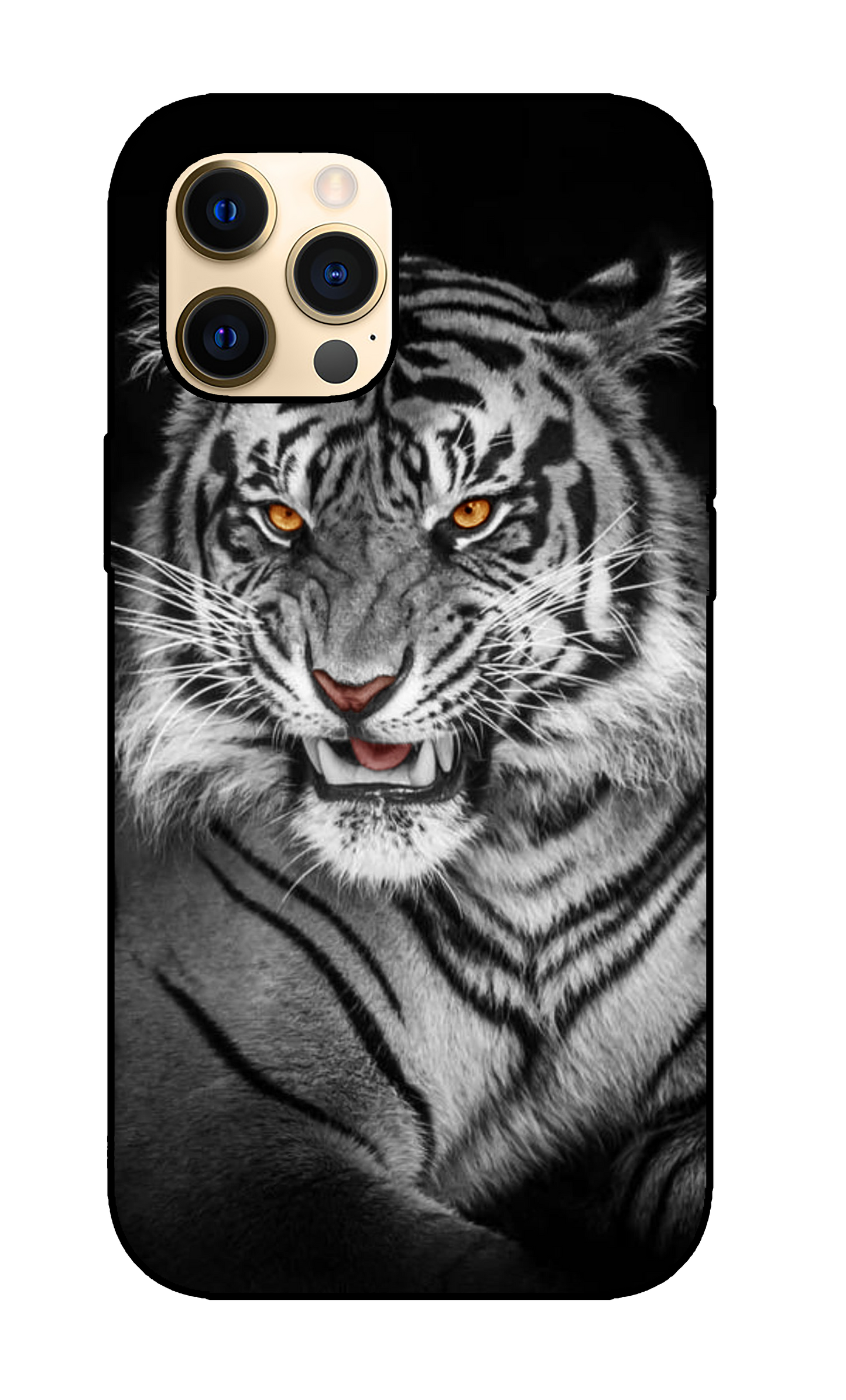 Tiger Case 5