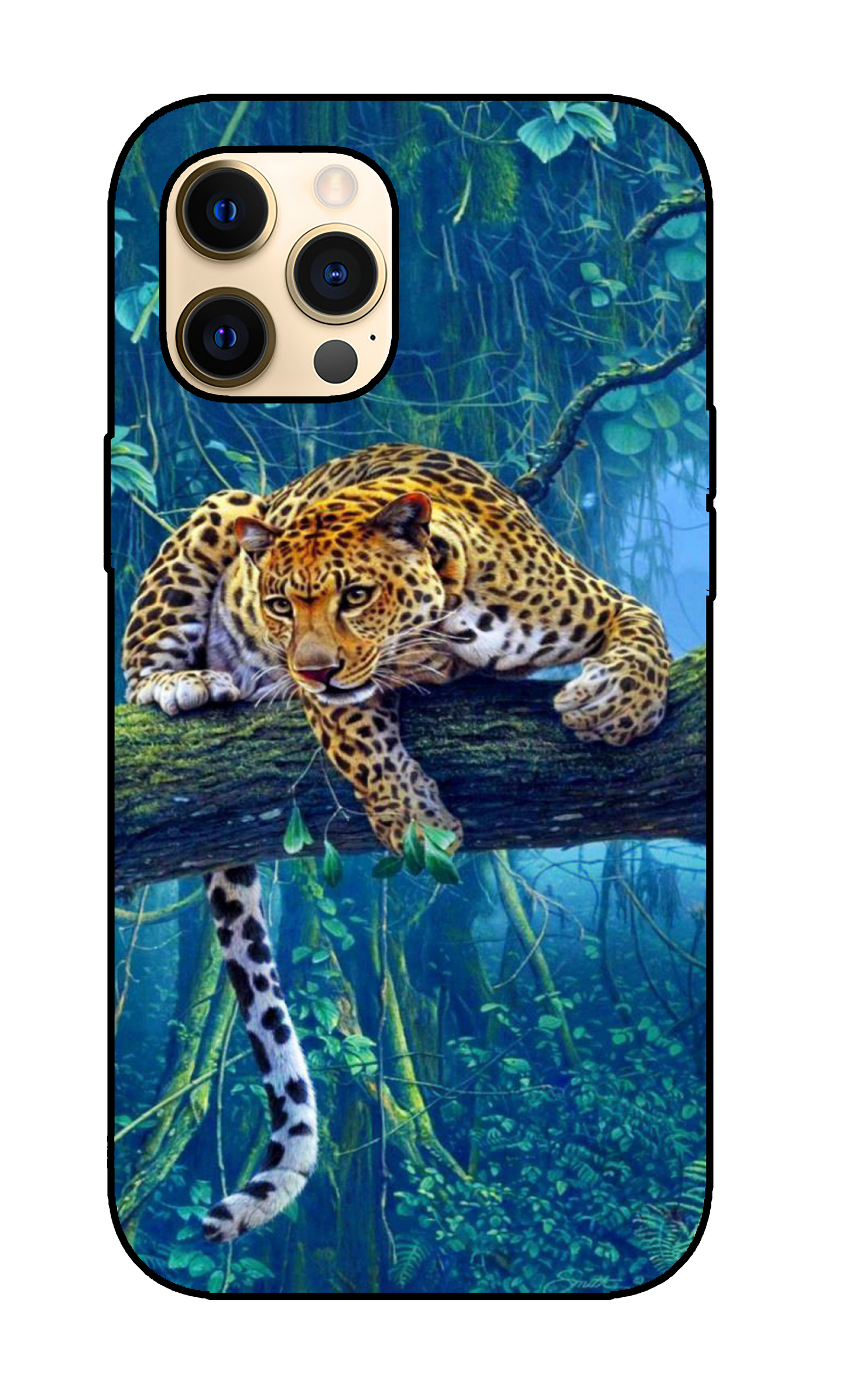 Cheetah Case 1