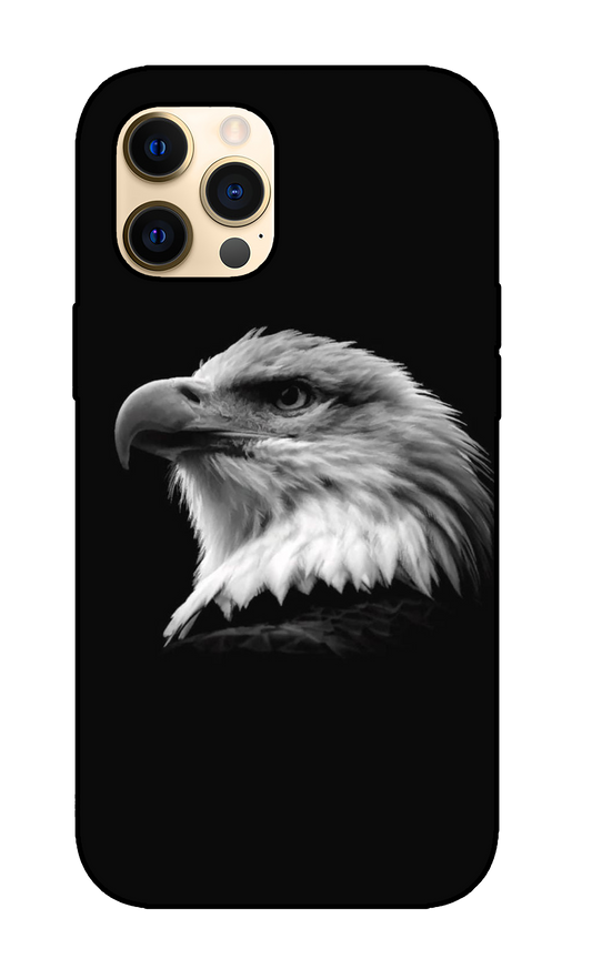 Eagle Case 2