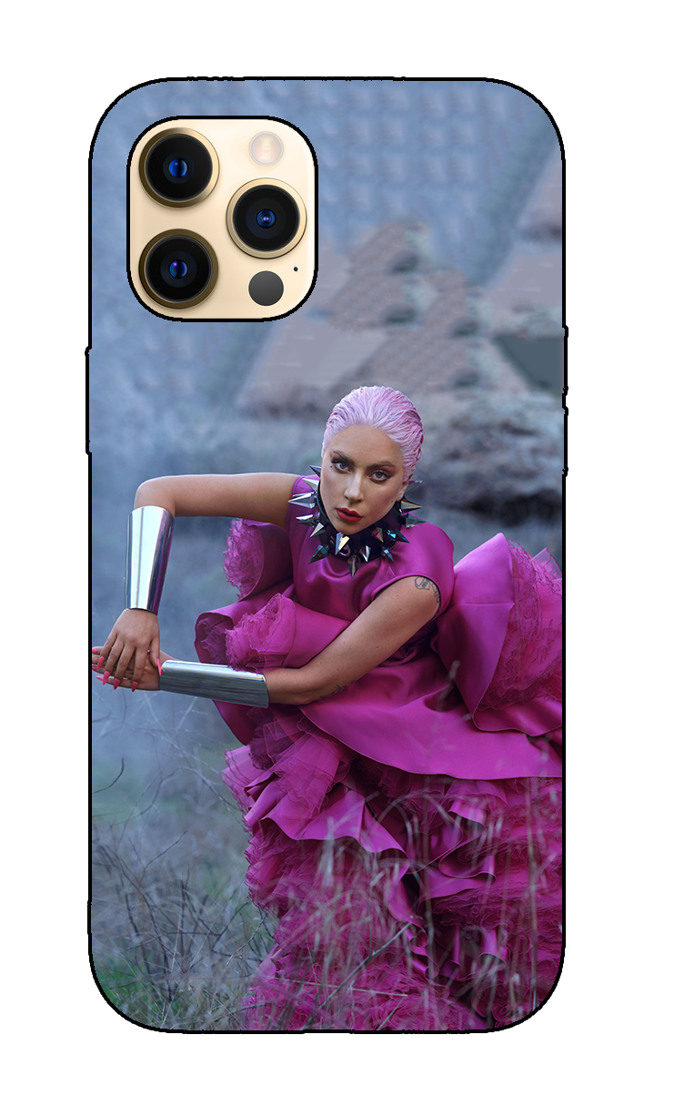 Lady Gaga case 2