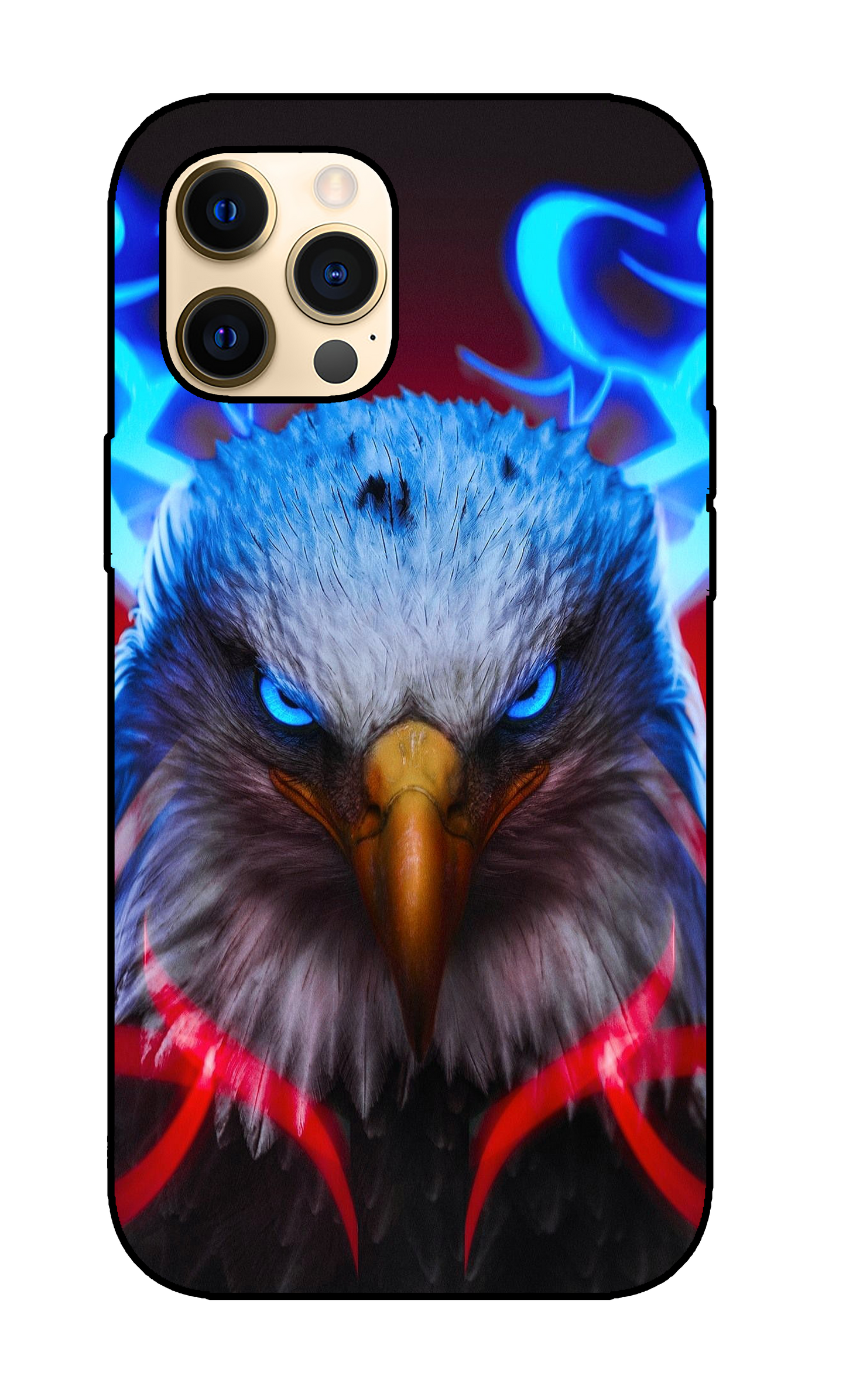 Eagle Case 3