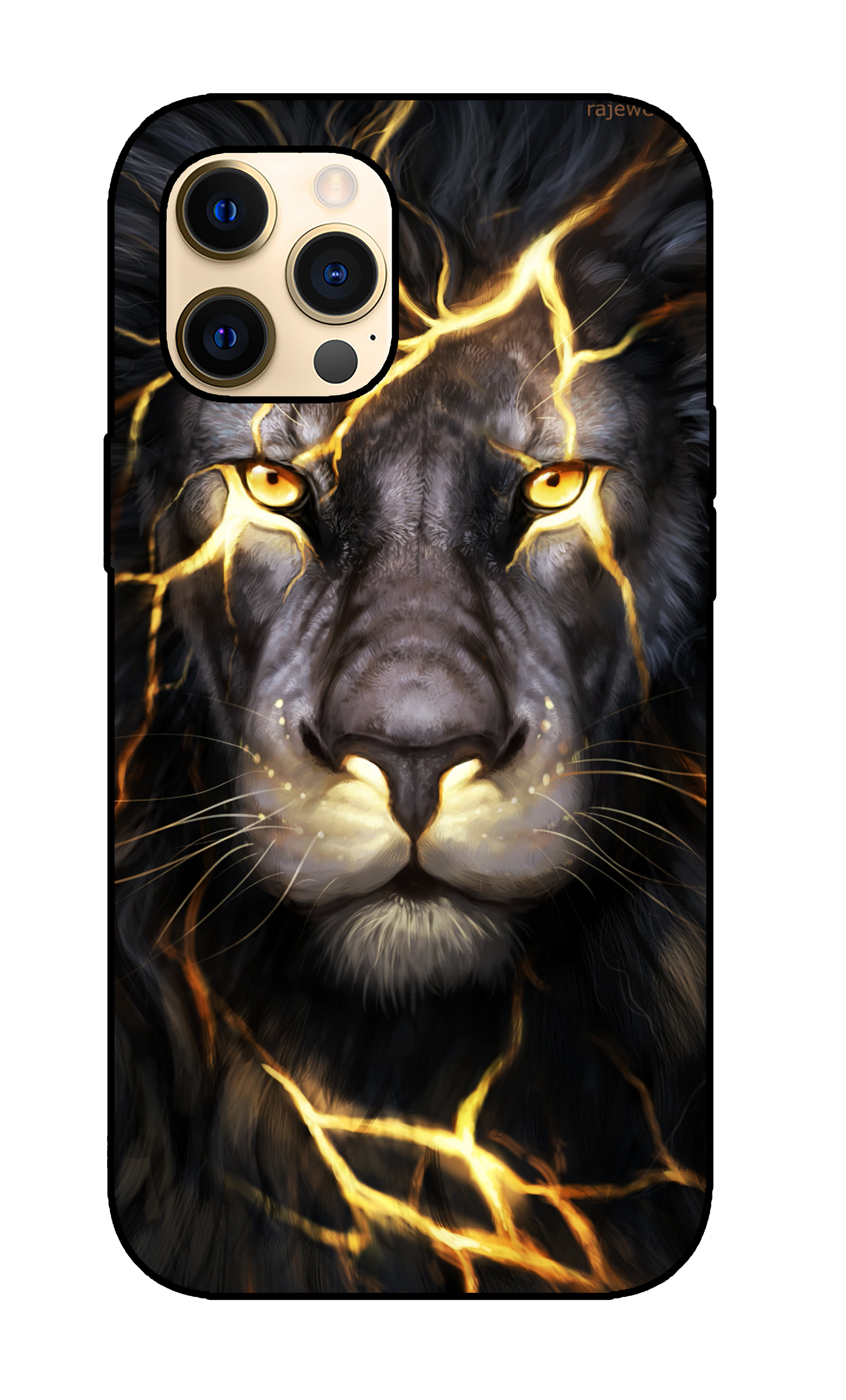 Lion Case 4