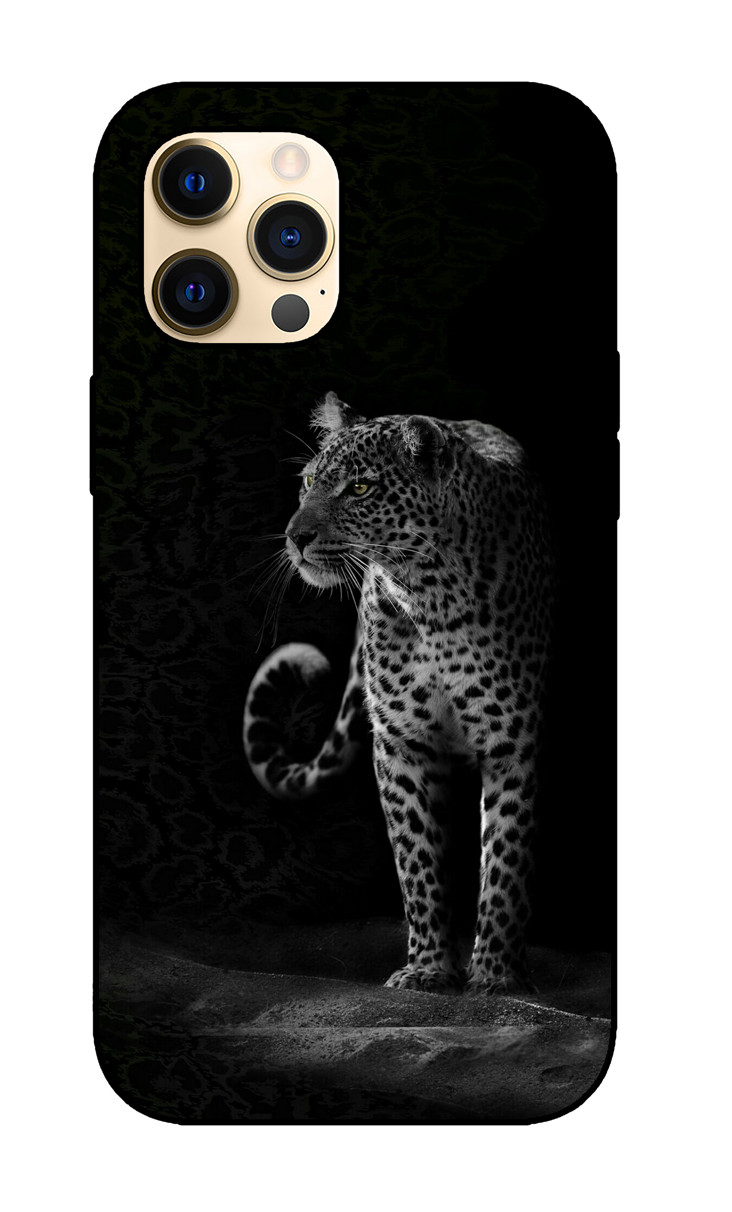 Leopard Case 4