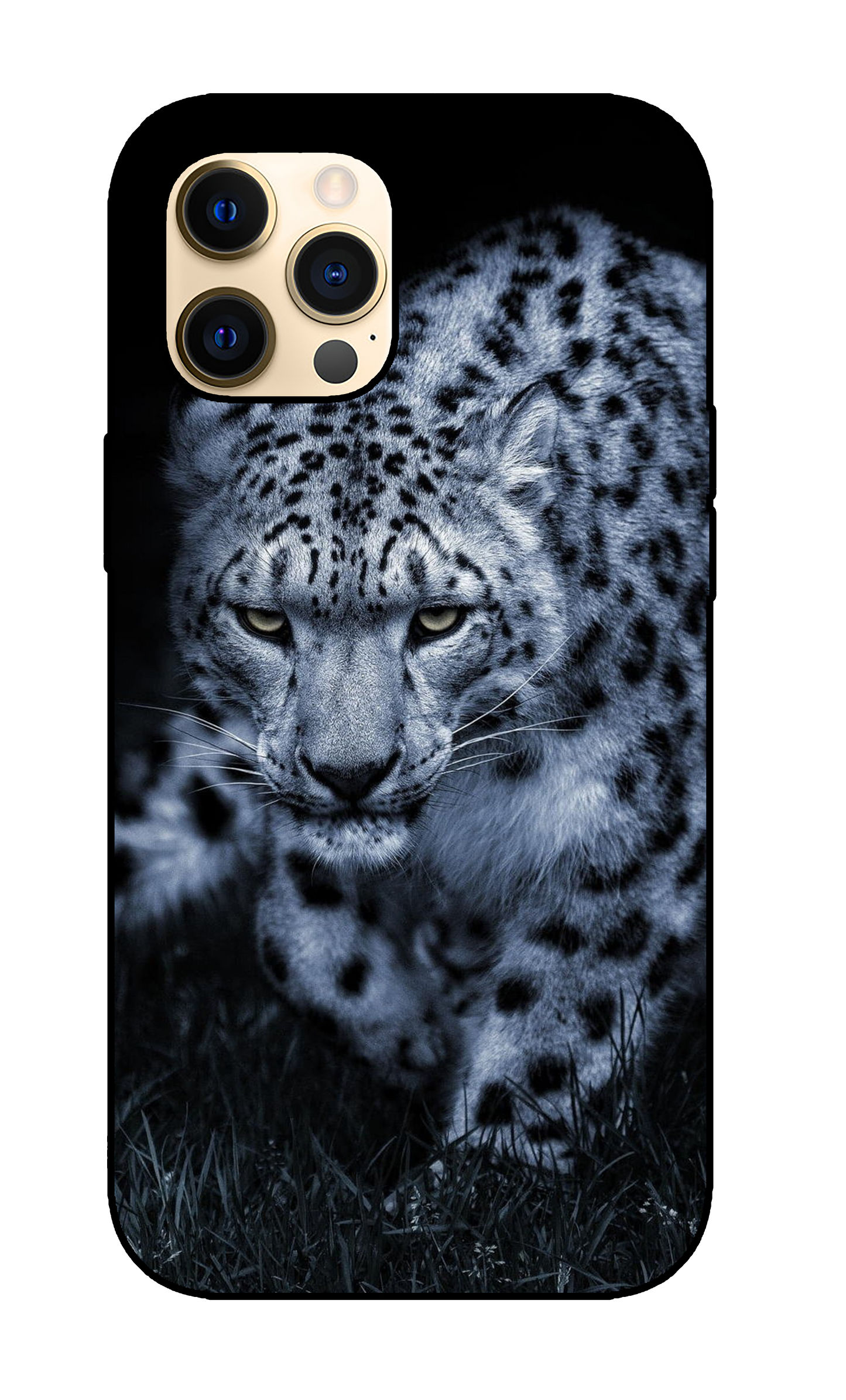 Leopard Case 5