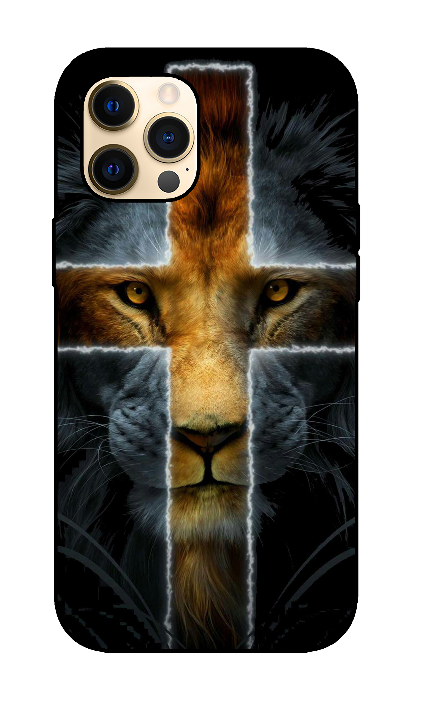 Lion Case 9