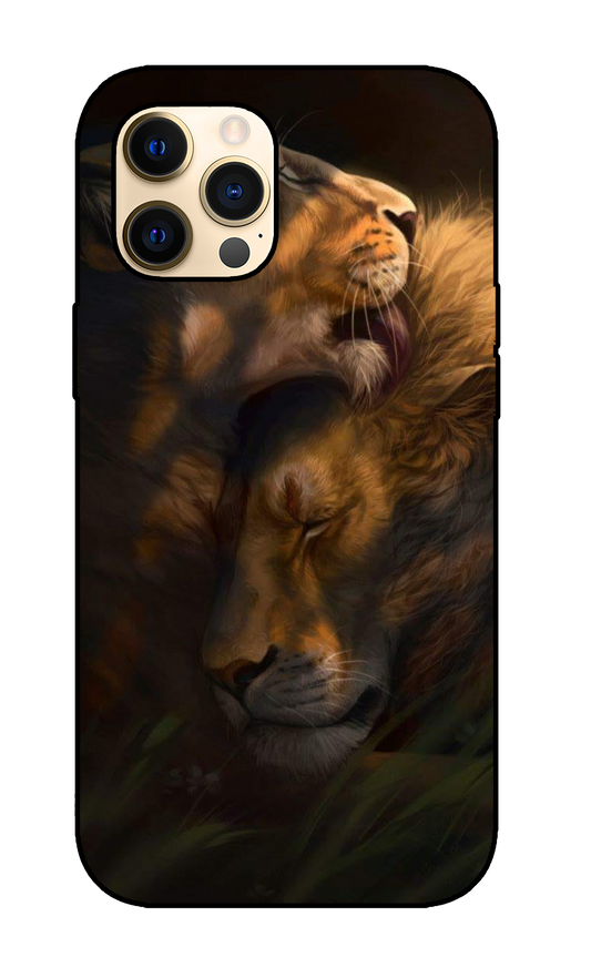 Lion Case 12