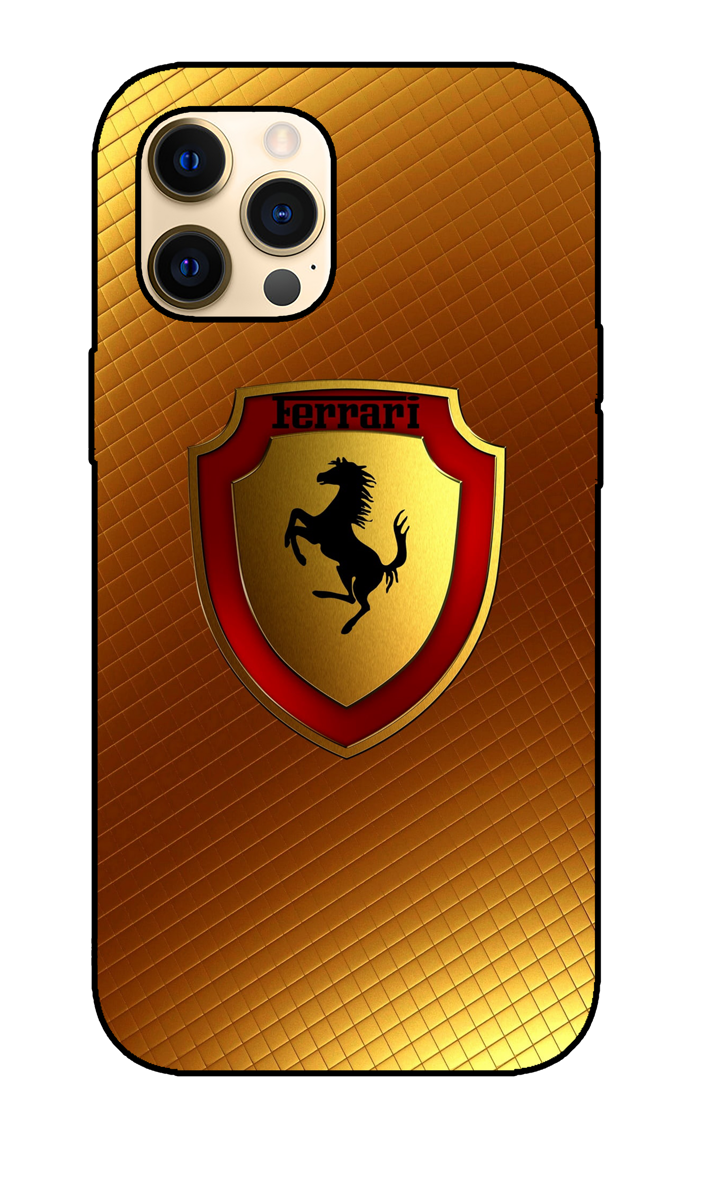 Ferrari Case 14