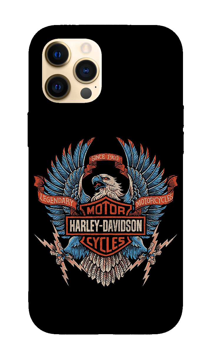 Harley Davidson Case 12